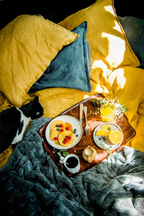 Petit déjeuner au lit, grand prix FIPC 2016