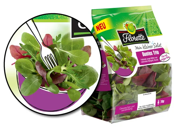 Pack salade Florette