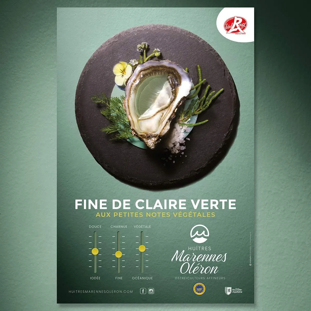 Huitres Marennes Oléron Fine de claire verte