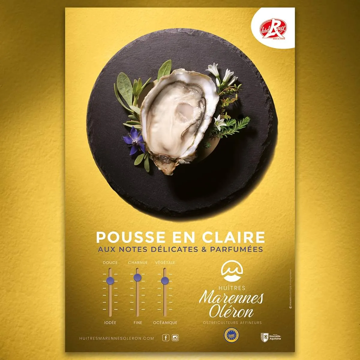 Huitres Marennes Oléron Pousse en claire
